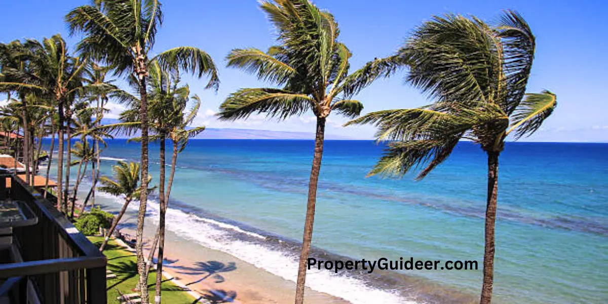  Beachfront Homes in Maui: Discover the Best Waterfront Living Experiences