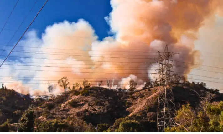 impact of la wildfires